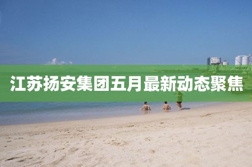 江苏扬安集团五月最新动态聚焦