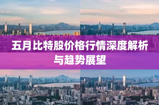 五月比特股价格行情深度解析与趋势展望