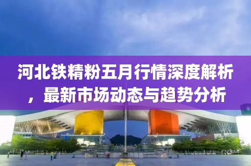 河北铁精粉五月行情深度解析，最新市场动态与趋势分析