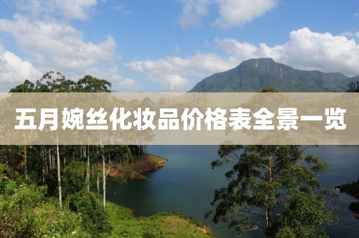五月婉丝化妆品价格表全景一览