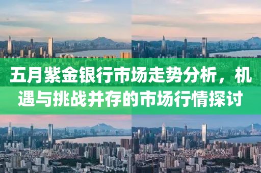 五月紫金银行市场走势分析，机遇与挑战并存的市场行情探讨