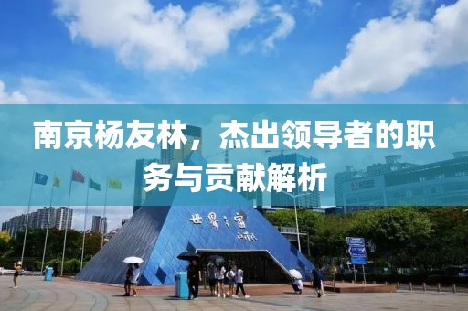 南京杨友林，杰出领导者的职务与贡献解析