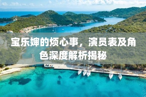 宝乐婶的烦心事，演员表及角色深度解析揭秘