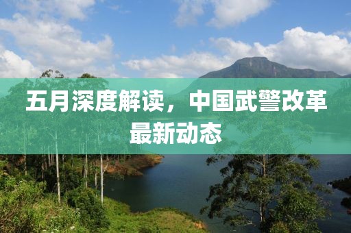 五月深度解读，中国武警改革最新动态