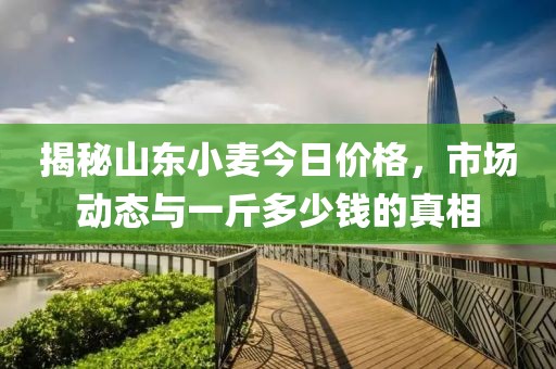 揭秘山东小麦今日价格，市场动态与一斤多少钱的真相