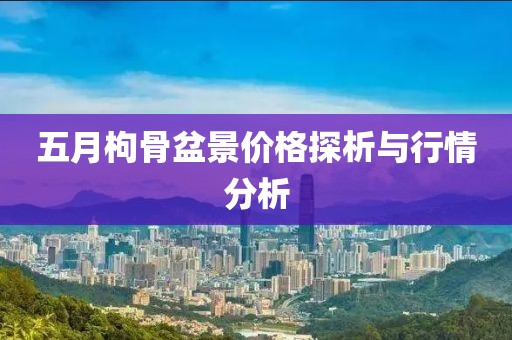 五月枸骨盆景价格探析与行情分析