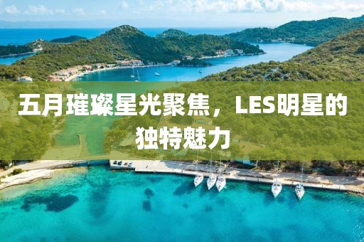 五月璀璨星光聚焦，LES明星的独特魅力
