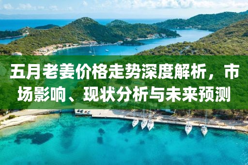 五月老姜价格走势深度解析，市场影响、现状分析与未来预测