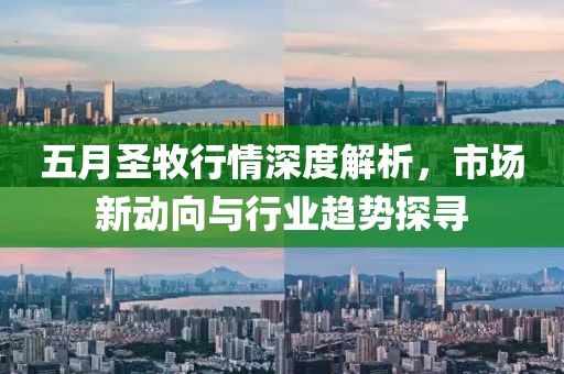 五月圣牧行情深度解析，市场新动向与行业趋势探寻