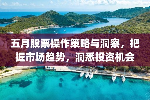 五月股票操作策略与洞察，把握市场趋势，洞悉投资机会