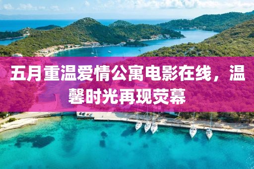 五月重温爱情公寓电影在线，温馨时光再现荧幕