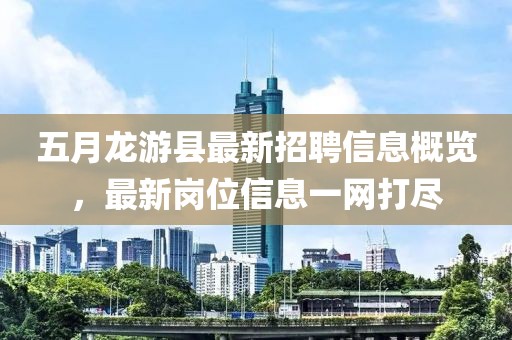 五月龙游县最新招聘信息概览，最新岗位信息一网打尽