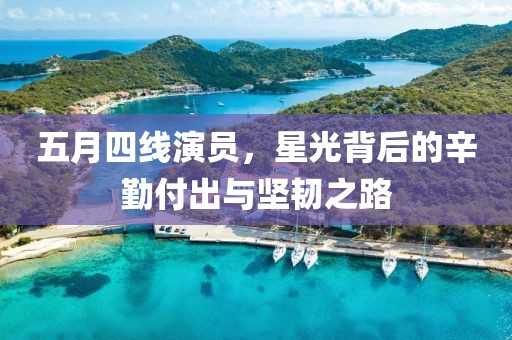 五月四线演员，星光背后的辛勤付出与坚韧之路
