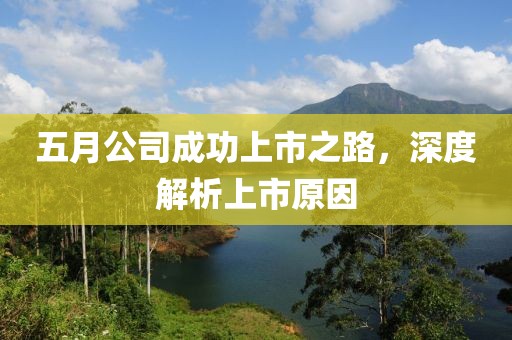 五月公司成功上市之路，深度解析上市原因