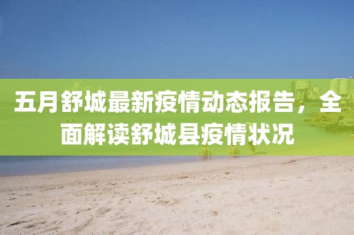 五月舒城最新疫情动态报告，全面解读舒城县疫情状况