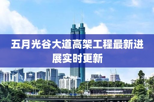 五月光谷大道高架工程最新进展实时更新
