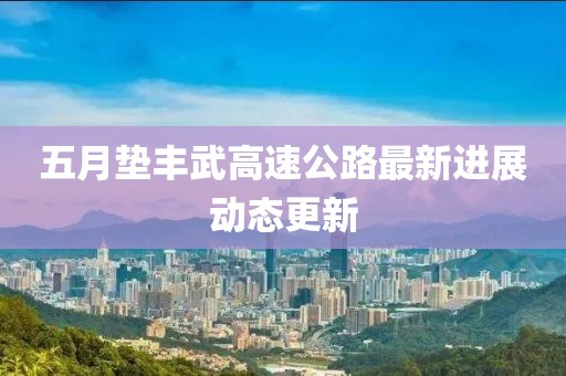 五月垫丰武高速公路最新进展动态更新