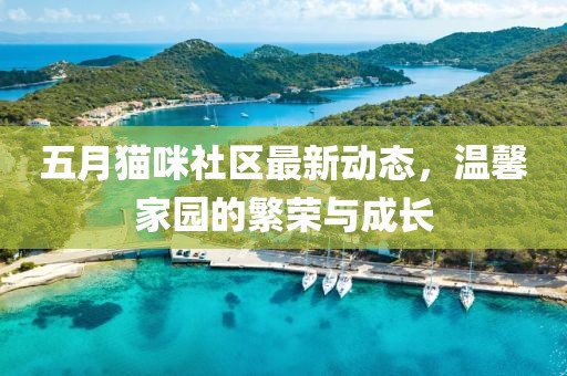 五月猫咪社区最新动态，温馨家园的繁荣与成长