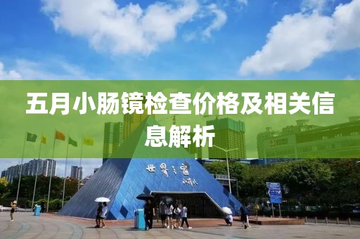 五月小肠镜检查价格及相关信息解析
