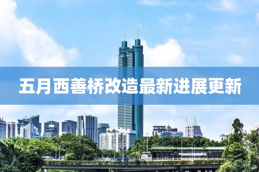 五月西善桥改造最新进展更新