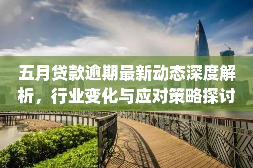 五月贷款逾期最新动态深度解析，行业变化与应对策略探讨