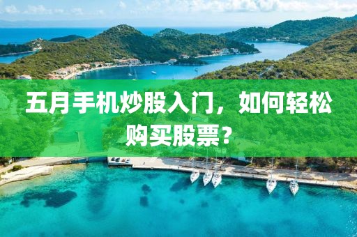 五月手机炒股入门，如何轻松购买股票？