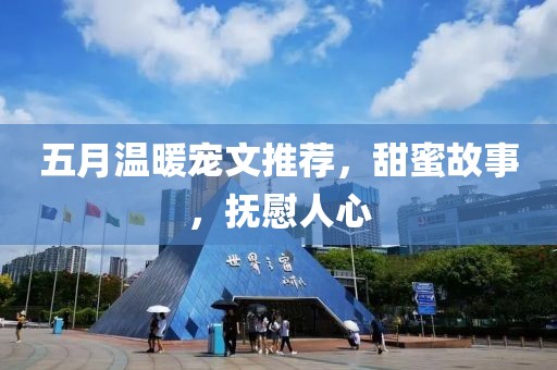 五月温暖宠文推荐，甜蜜故事，抚慰人心