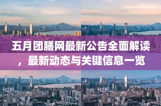 五月团膳网最新公告全面解读，最新动态与关键信息一览
