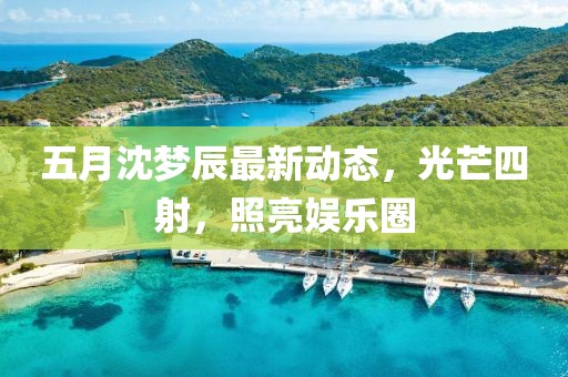 五月沈梦辰最新动态，光芒四射，照亮娱乐圈