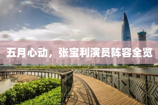 五月心动，张宝利演员阵容全览