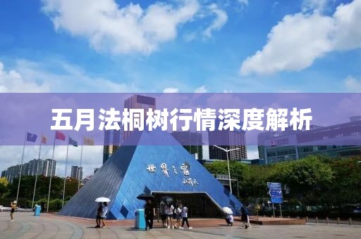 五月法桐树行情深度解析