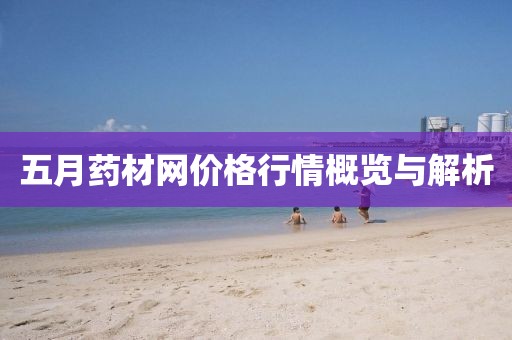五月药材网价格行情概览与解析