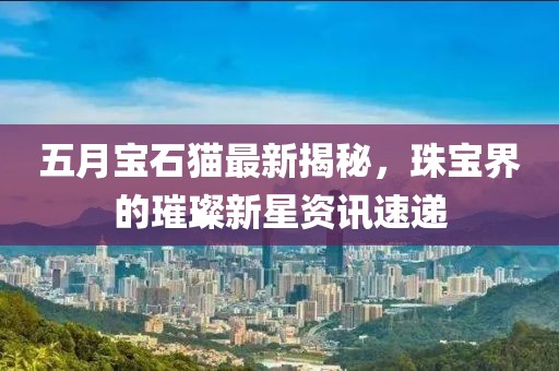 五月宝石猫最新揭秘，珠宝界的璀璨新星资讯速递