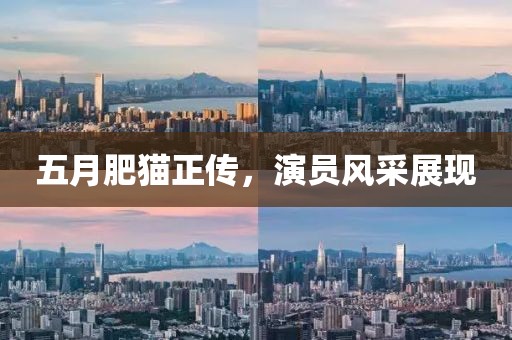 五月肥猫正传，演员风采展现