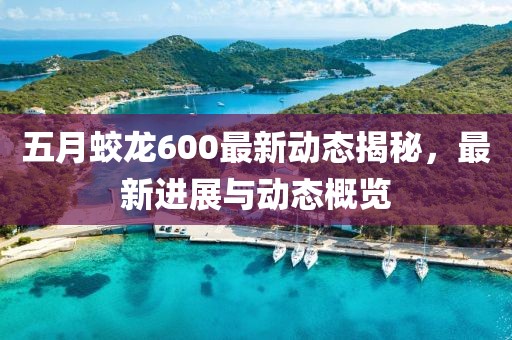 五月蛟龙600最新动态揭秘，最新进展与动态概览