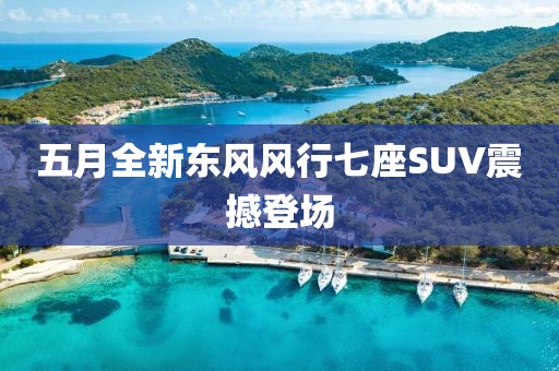 五月全新东风风行七座SUV震撼登场