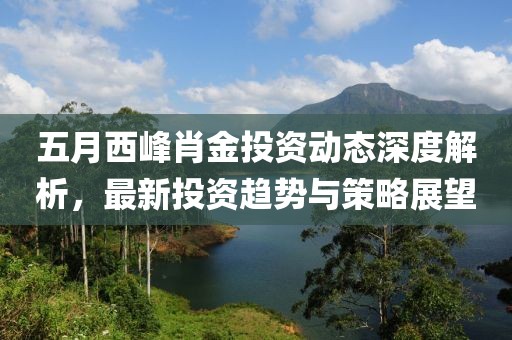 五月西峰肖金投资动态深度解析，最新投资趋势与策略展望
