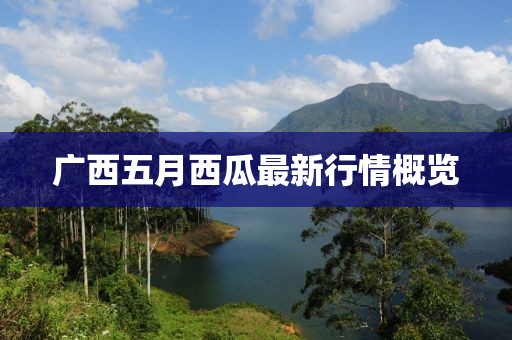 广西五月西瓜最新行情概览