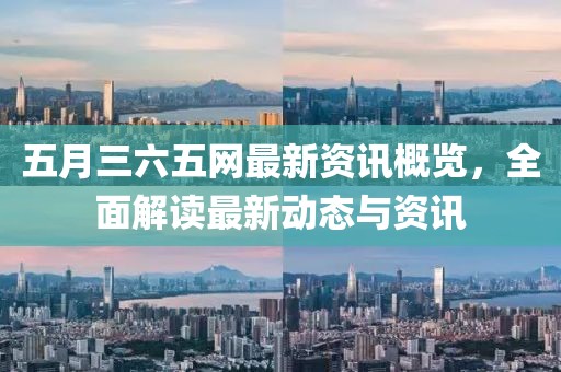 五月三六五网最新资讯概览，全面解读最新动态与资讯