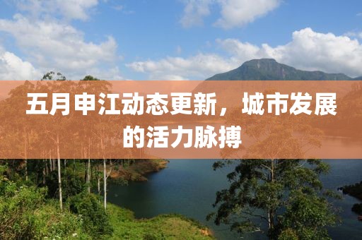 五月申江动态更新，城市发展的活力脉搏