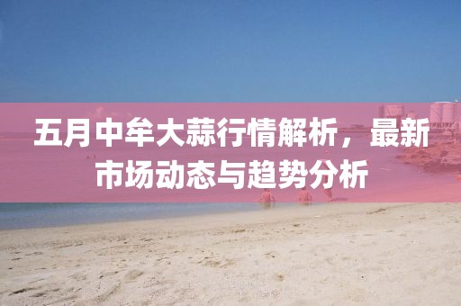 五月中牟大蒜行情解析，最新市场动态与趋势分析