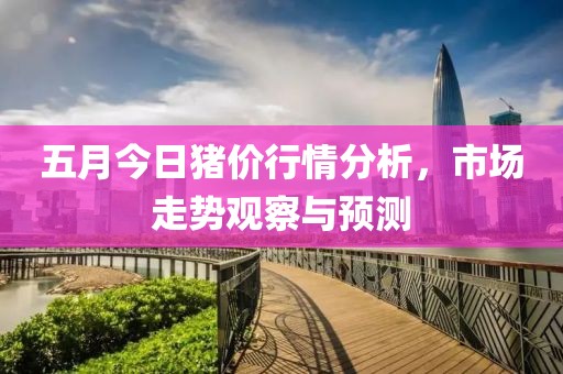 五月今日猪价行情分析，市场走势观察与预测