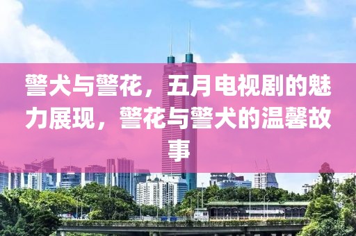 警犬与警花，五月电视剧的魅力展现，警花与警犬的温馨故事