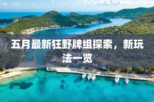 五月最新狂野牌组探索，新玩法一览