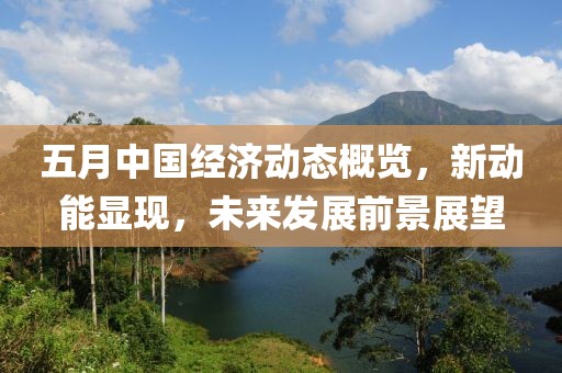 五月中国经济动态概览，新动能显现，未来发展前景展望