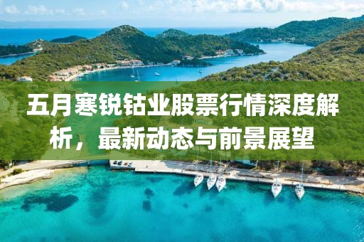 五月寒锐钴业股票行情深度解析，最新动态与前景展望
