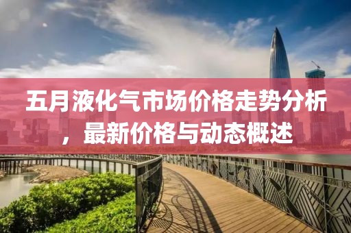 五月液化气市场价格走势分析，最新价格与动态概述