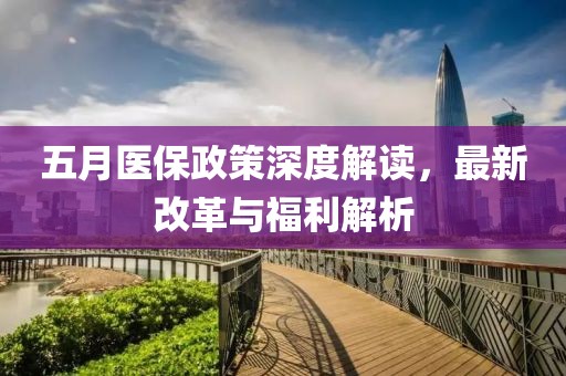 五月医保政策深度解读，最新改革与福利解析