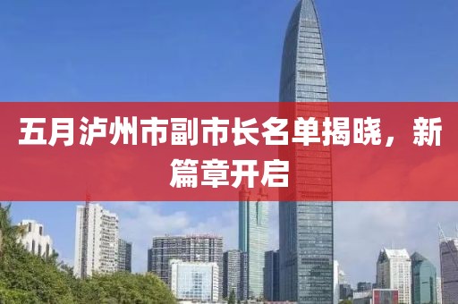 五月泸州市副市长名单揭晓，新篇章开启