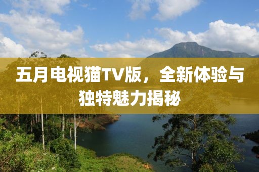 五月电视猫TV版，全新体验与独特魅力揭秘